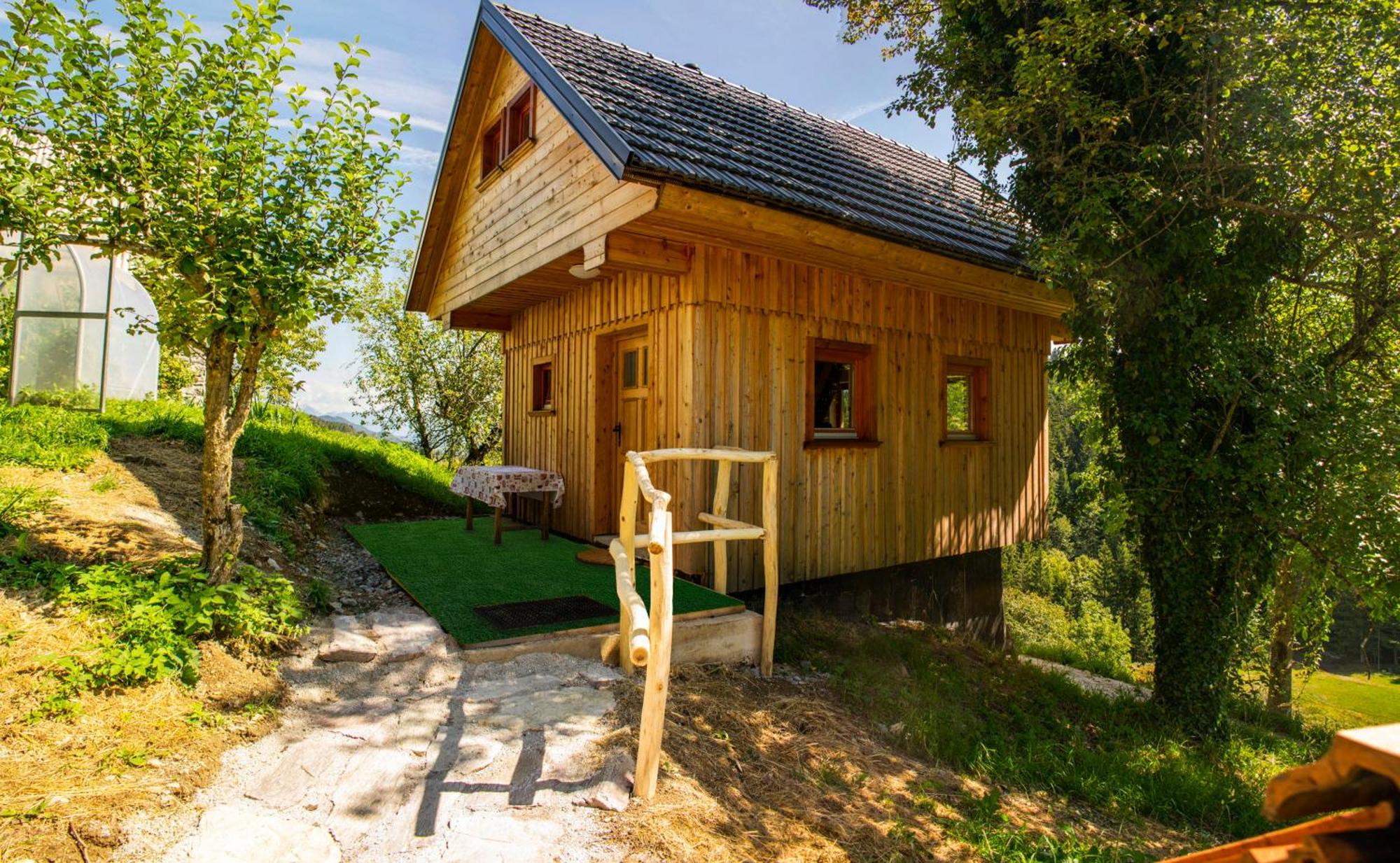 Wooden Chalet - Homestead Vrhovc Zelezniki Buitenkant foto